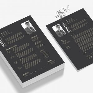 1000 Resume & CV Templates Mega Bundle